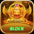 slots Pakistan Pro v3.1.5
